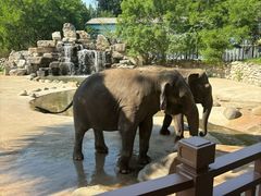 -北京野生动物园