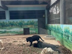 -昆明动物园