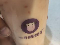 -张小姐炒酸奶