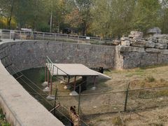 -宿豫区运河湾森林动物园