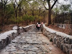 -阳台山自然风景区