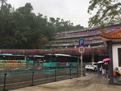 -深圳仙湖植物园-停车场