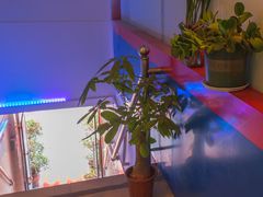 -足来足往养生会所