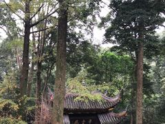-峨眉山报国寺