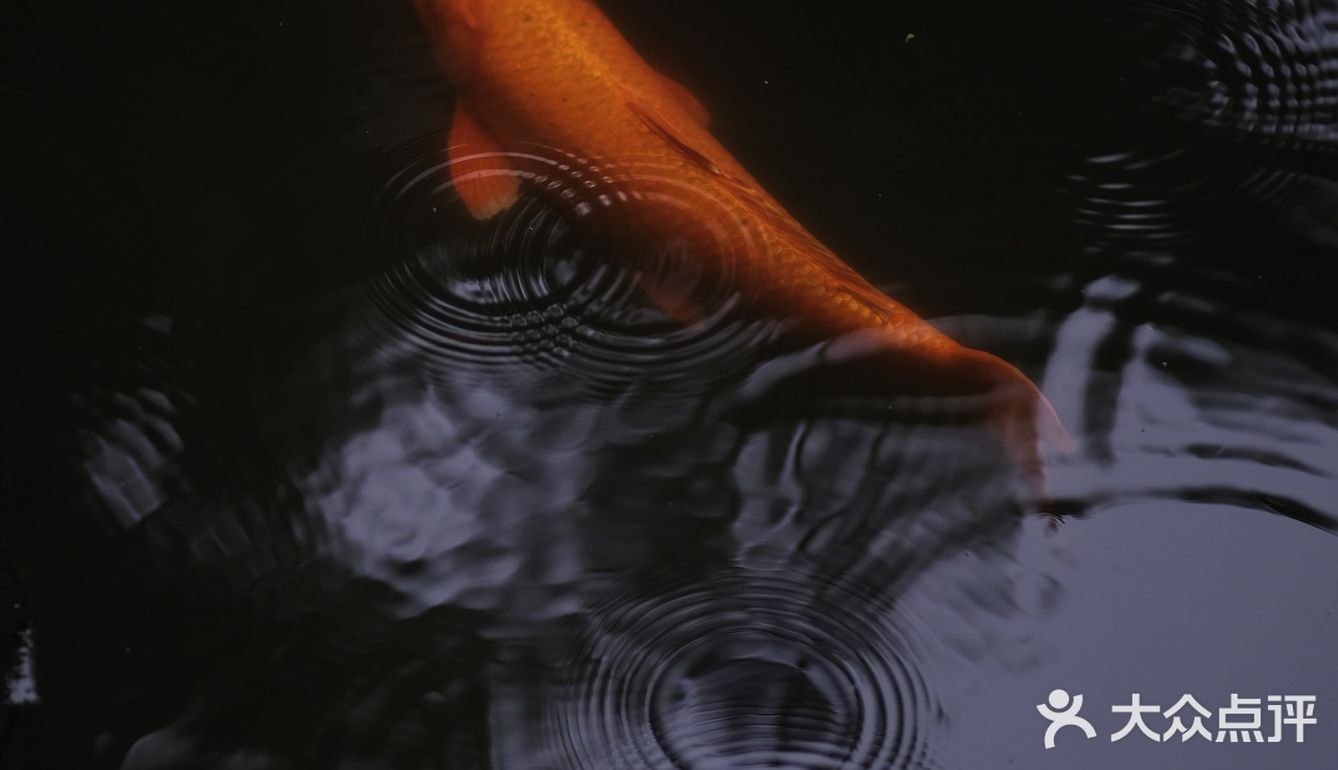 觉得闷热,就逛去园林吃雪糕!