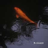 觉得闷热,就逛去园林吃雪糕!