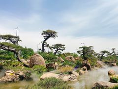 -罗红摄影艺术馆