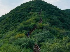 -大岭沟猕猴桃谷风景区