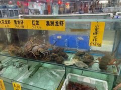 -寻味顺德·南记酒家·传统顺德菜·鱼生(广源路店)