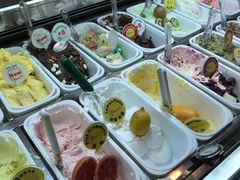 -柠檬车露(卖草地店)