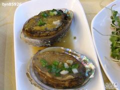 鲍鱼-海岛渔村大酒店(云霄路店)