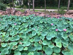 -南戴河国际娱乐中心