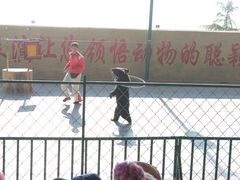 -东方熊牧场