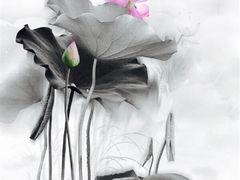 -醉翁水城