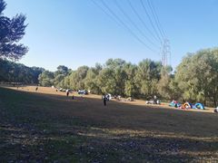 -长白岛森林公园