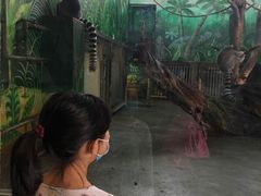 -西安秦岭野生动物园