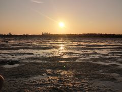 -北海金海湾红树林生态旅游区