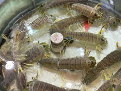 -强记海鲜·大排档(蛇口新街店)