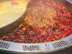 -销魂美蛙鱼头火锅(上海首店)