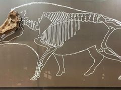 -北京周口店北京人遗址博物馆