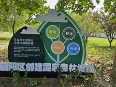 -大望京公园