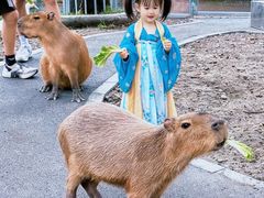 -成都欢乐谷