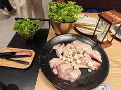 -大头椰·椰子鸡火锅(新梦店)