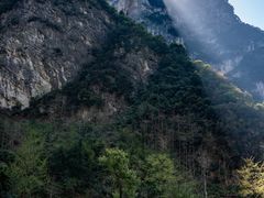 -武陵山森林公园