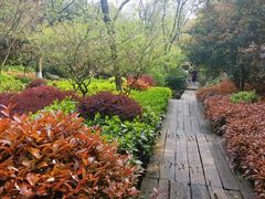 -杭州半山国家森林公园