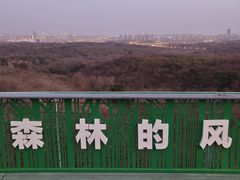 -南京老山国家森林公园