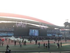 -南京奥林匹克体育中心-体育馆