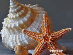 -星巴克(汇宝广场店)