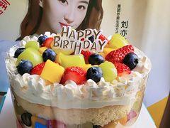 -维尔纳斯·生日蛋糕·动物奶油冰淇淋蛋糕(六里桥店)
