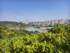 -飞凤山奥体公园