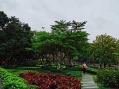 -晓港公园
