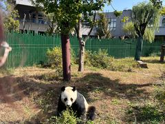 -沈阳森林动物园