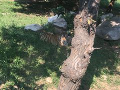 -西安秦岭野生动物园