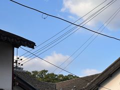 -老上海葱油饼(七宝老街富强街店)