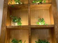 -江边渔村(双井店)