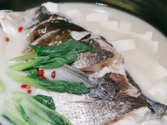-7017浙菜•建德味(中财店)