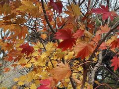 -长春市南湖公园