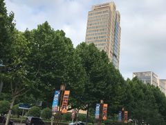 -上海外滩英迪格酒店