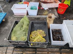 -江汉区姑嫂树菜市场
