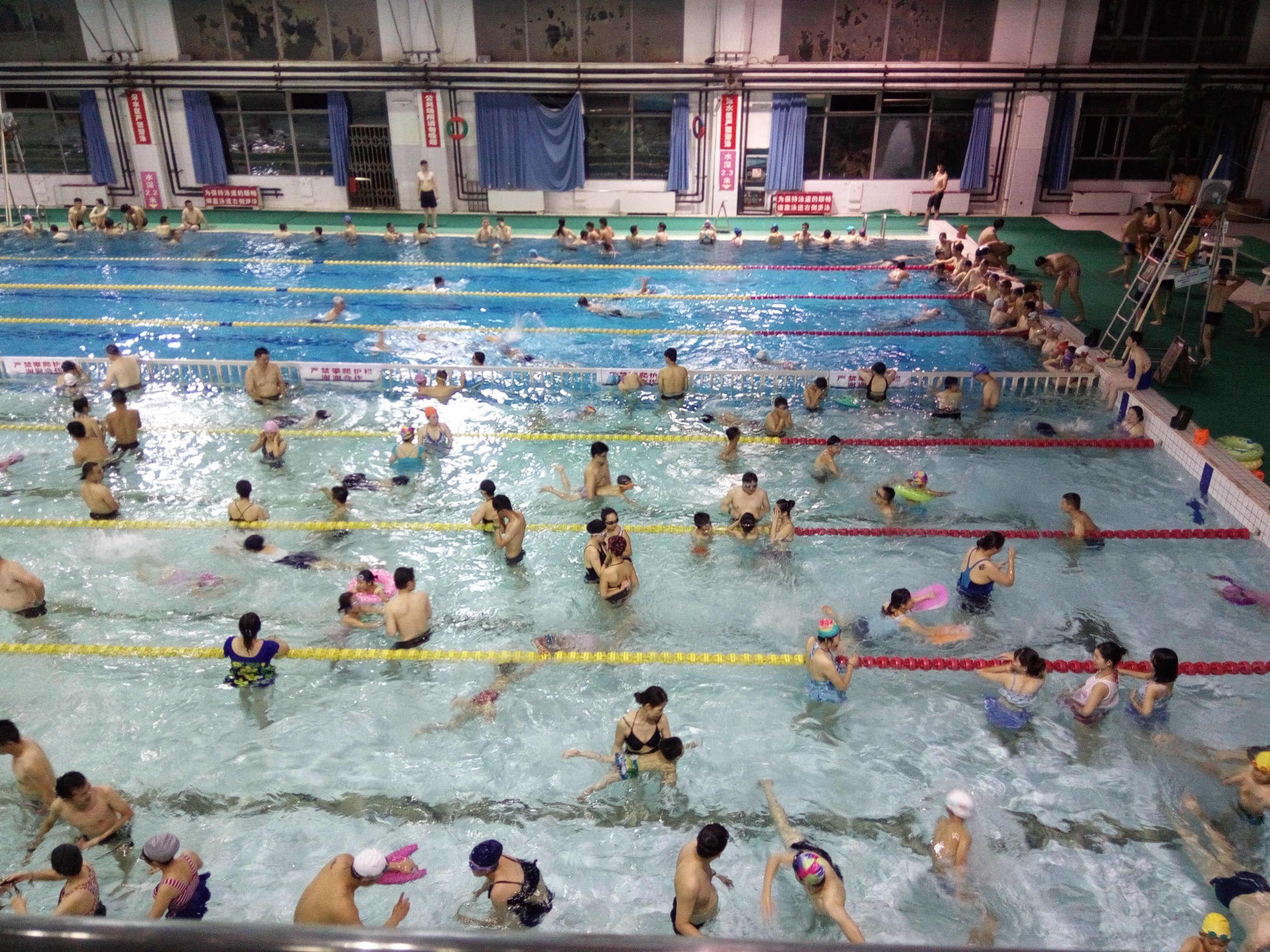 离家很近的一家老牌游泳馆,就在政苑小区里