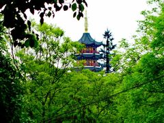 -北极阁公园