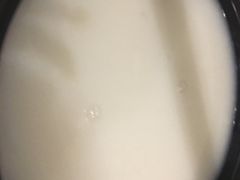 -景笙毋米粥底火锅(20年老字号)