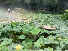 -广州莲花山旅游区
