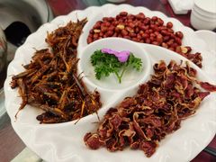 -山菌美食苑(振兴路店)