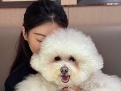 -comecome来吧宠物(奥克斯中心店)