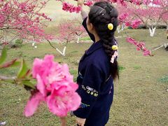 -秀丽东方